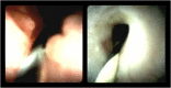 Figure 6