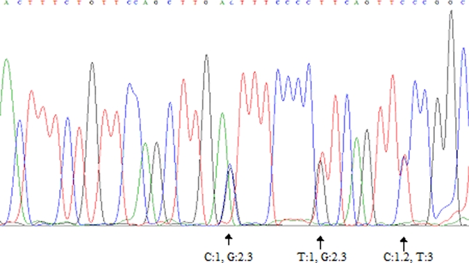 Figure 2.