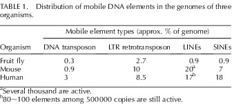 graphic file with name i0006-3363-86-5-162-t01.jpg