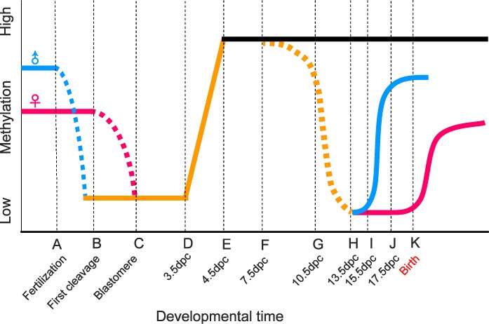 FIG. 2. 