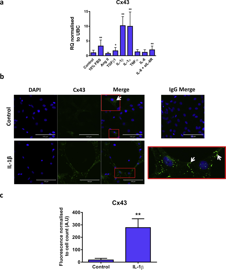 Figure 2