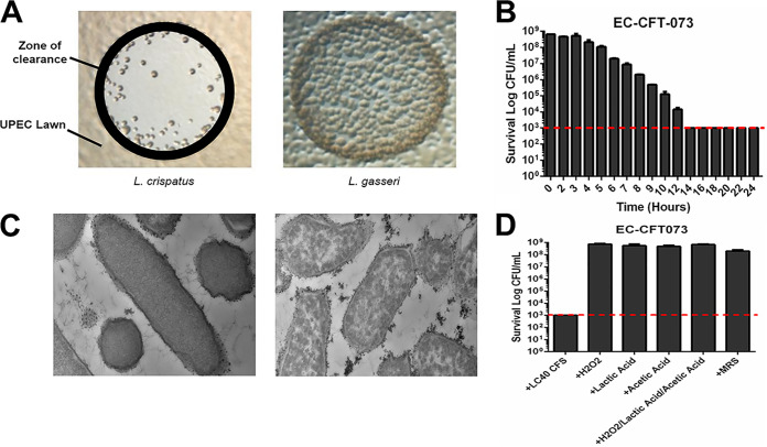 FIG 1