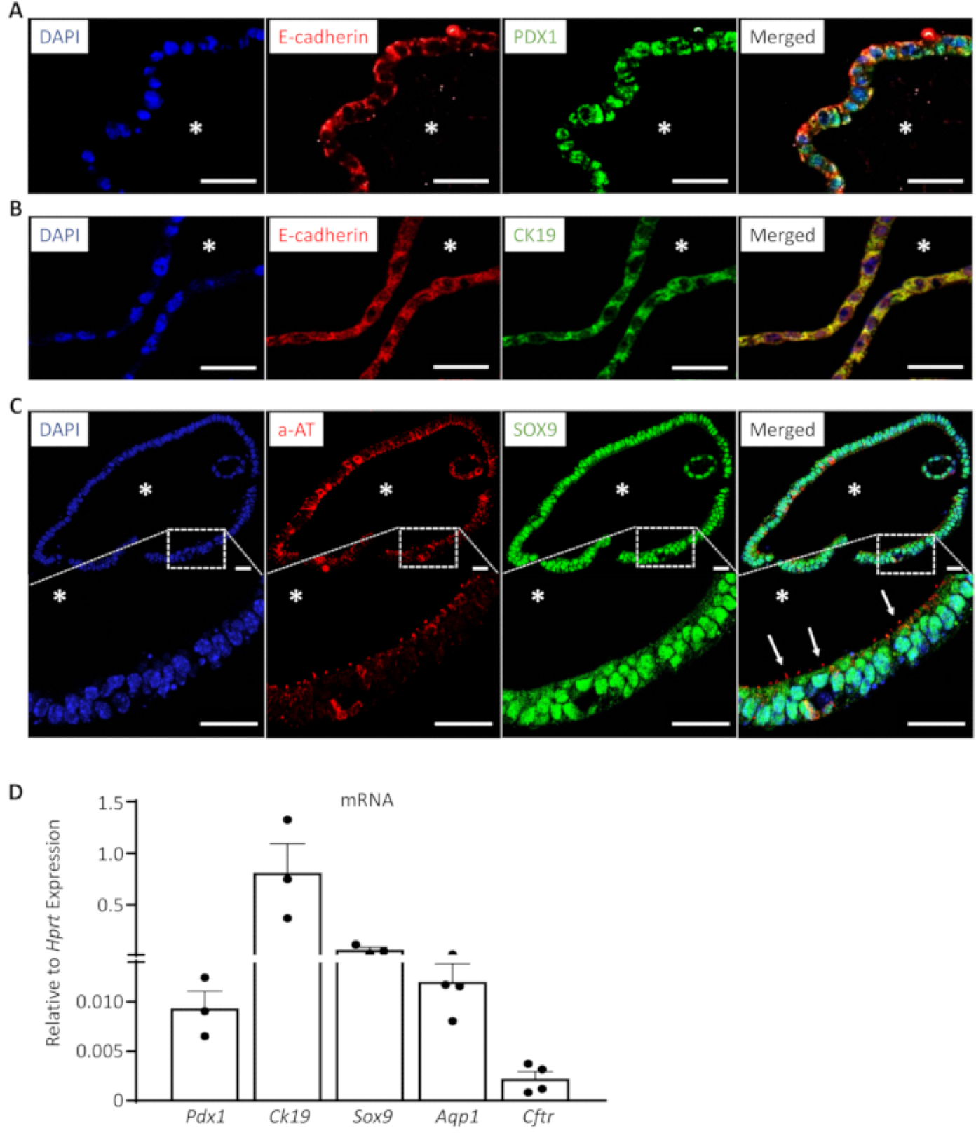 Figure 3: