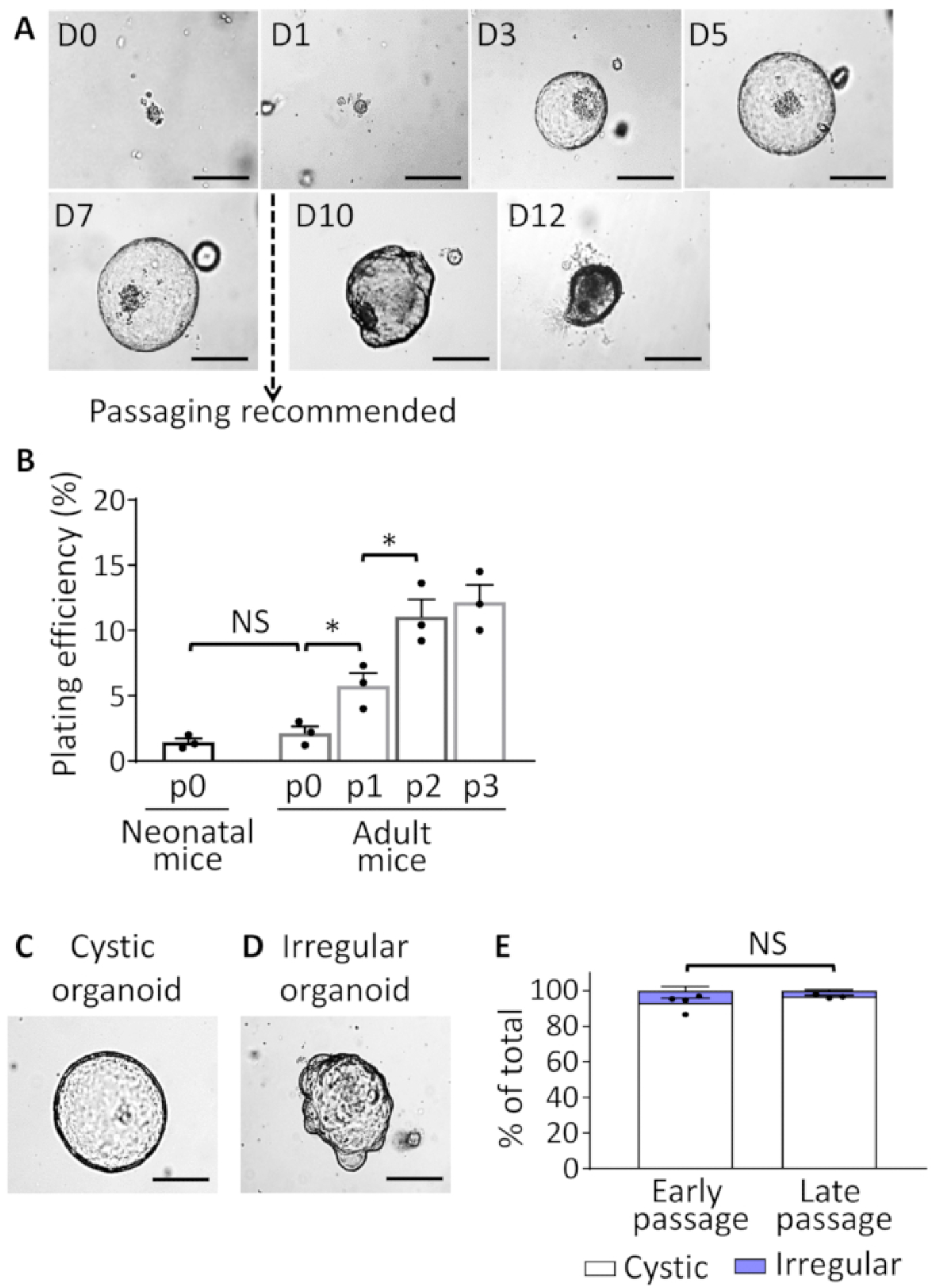 Figure 2: