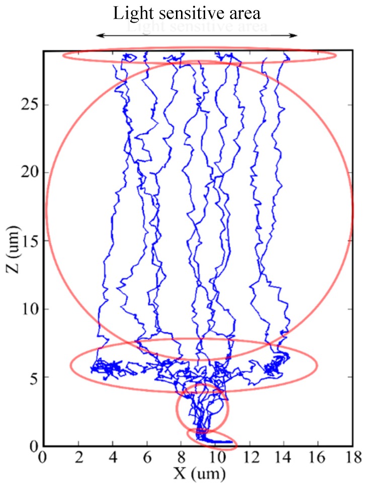 Figure 8