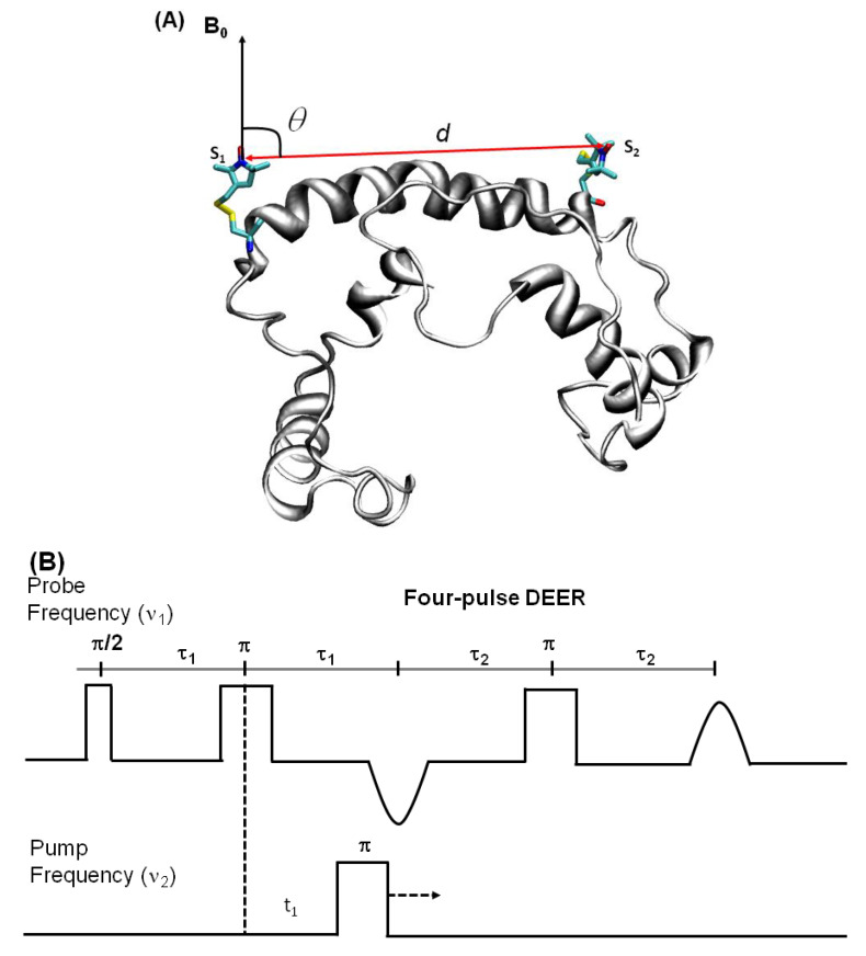 Figure 8