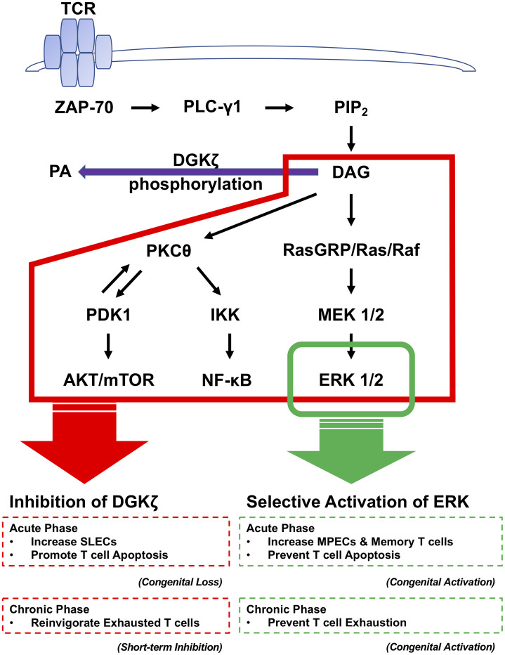 Figure 10