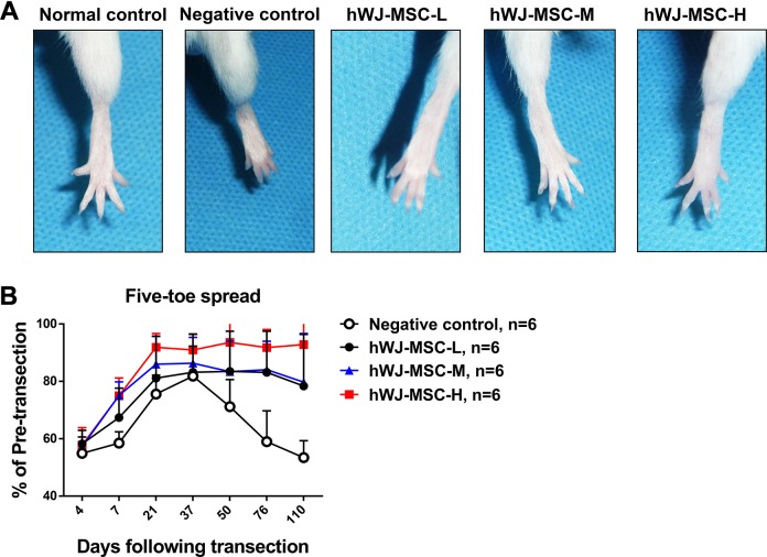 Figure 3.