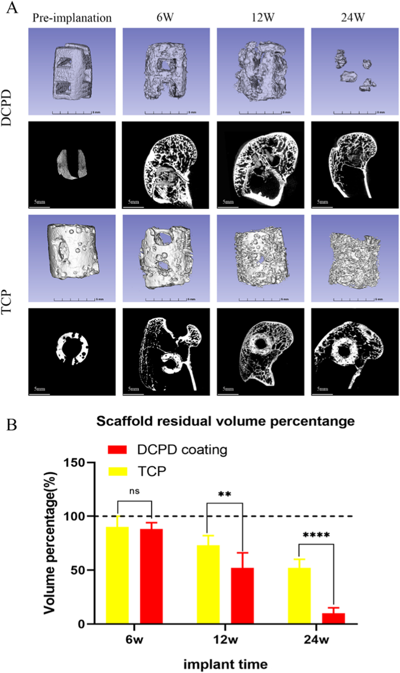 Fig. 6