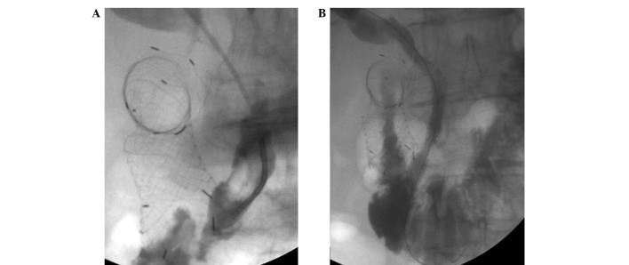 Figure 2.