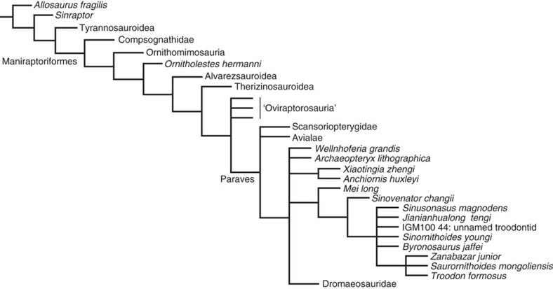 Figure 6