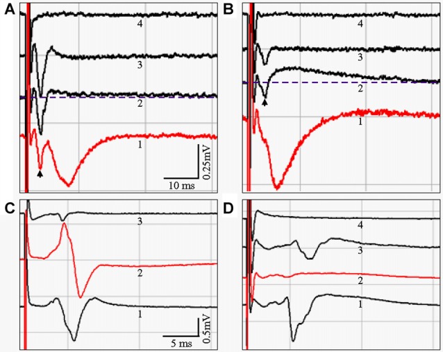 Figure 9