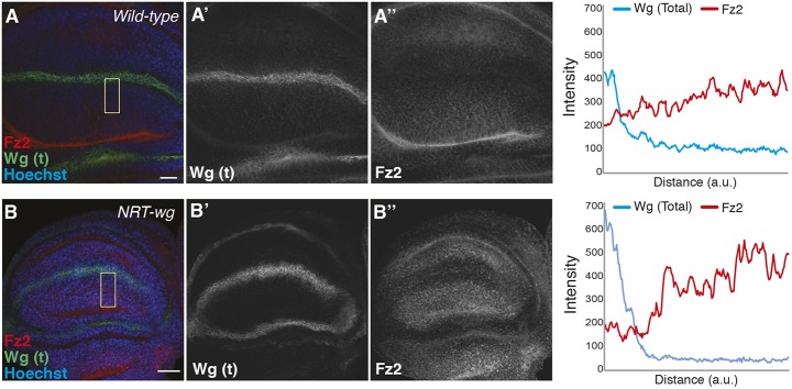 Fig. 5.