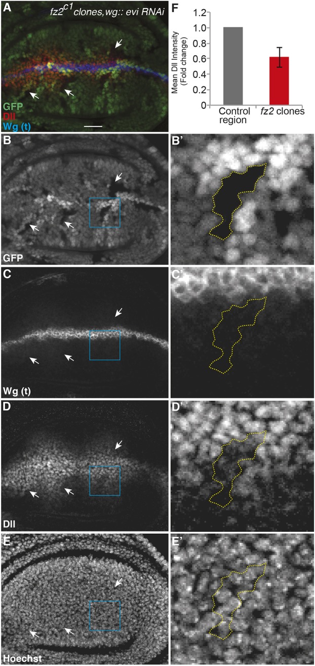 Fig. 4.