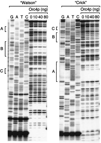 FIG. 6