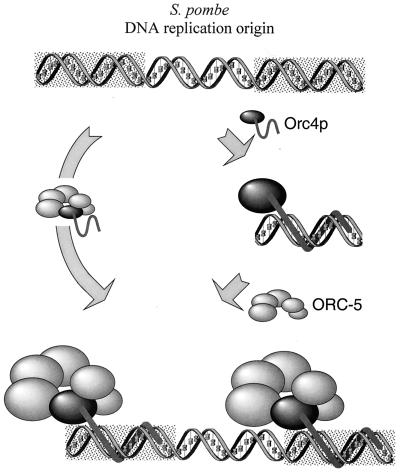 FIG. 9