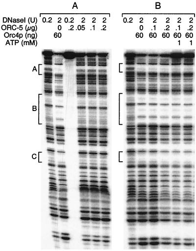 FIG. 7