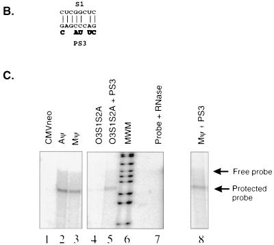 FIG. 6