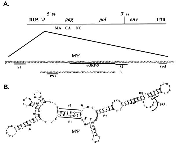 FIG. 3