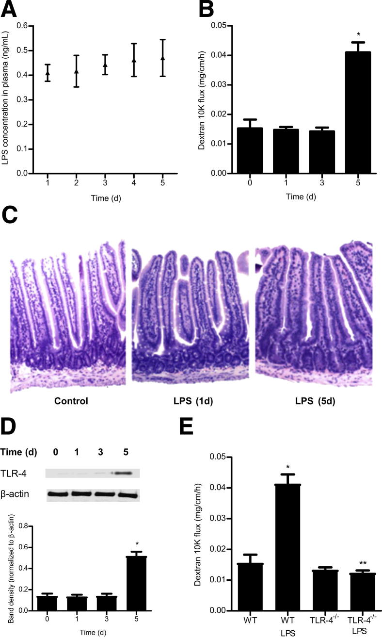 Figure 7