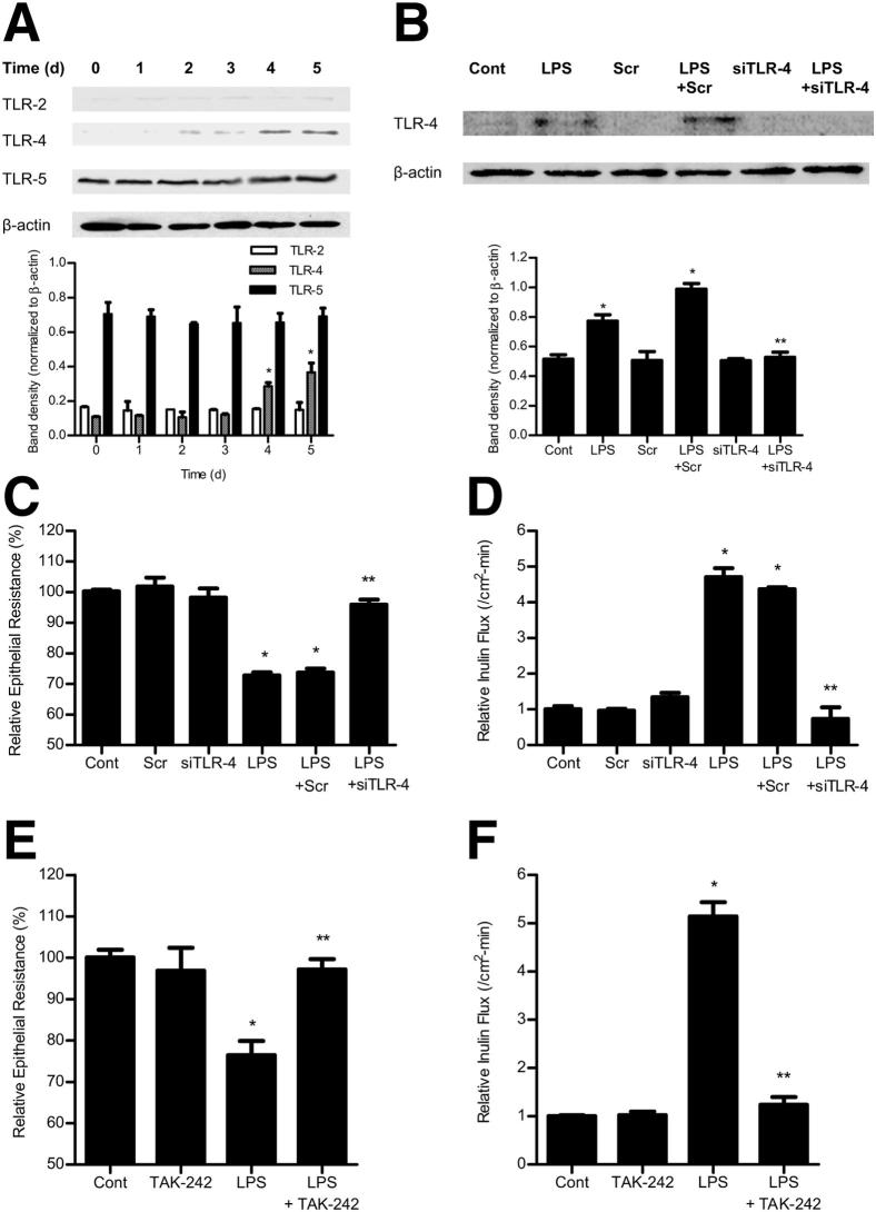 Figure 5