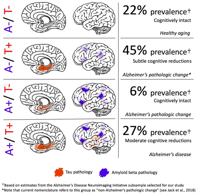 Graphical Abstract