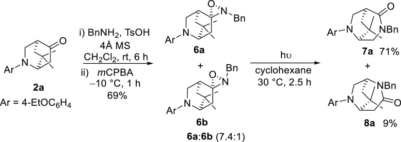 Scheme 4