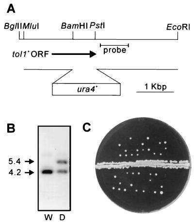 FIG. 5