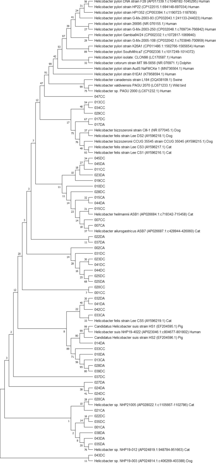 Figure 5