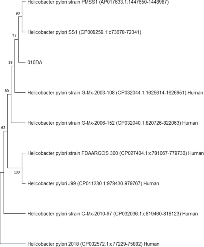 Figure 4