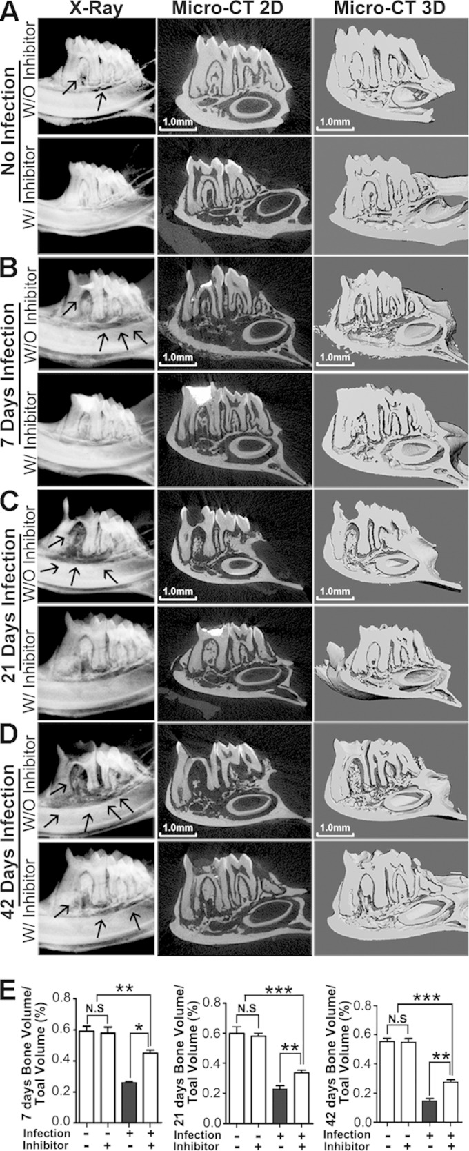 FIG 1