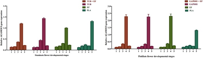 Fig 5