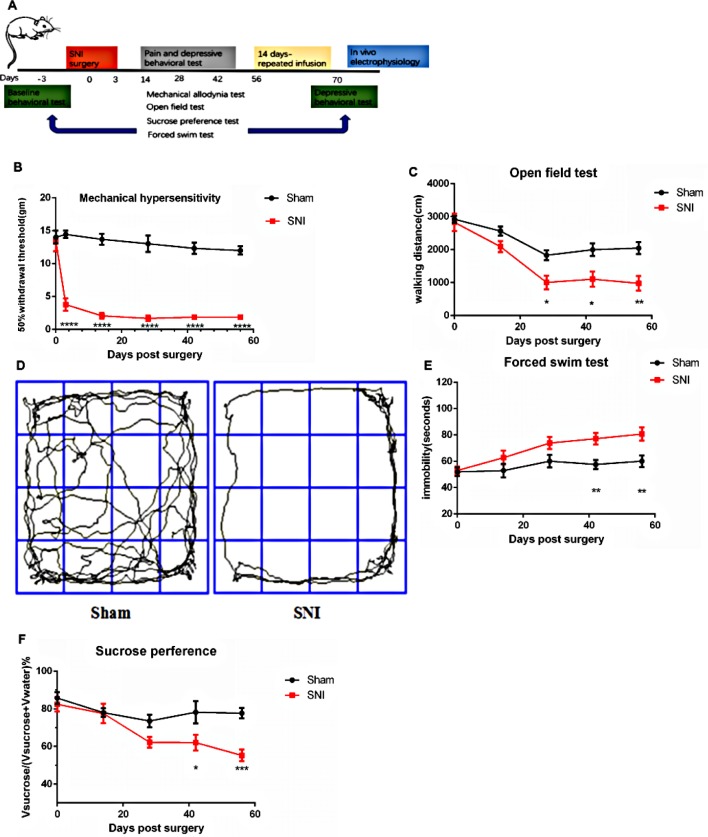 gabapentin with depression
