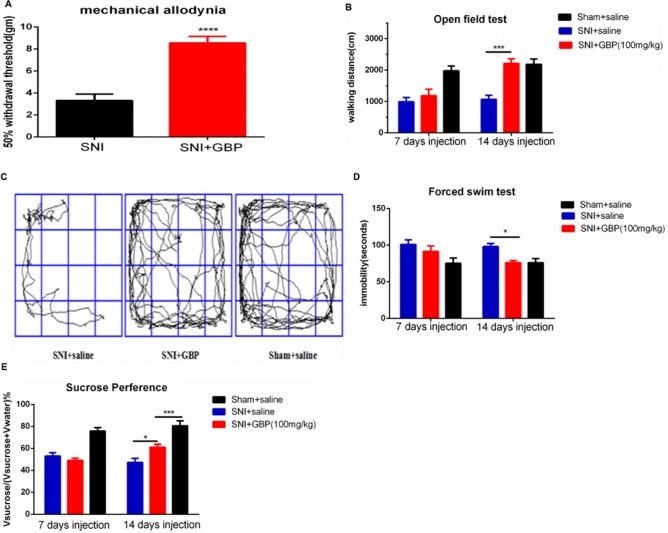 neurontin and depression