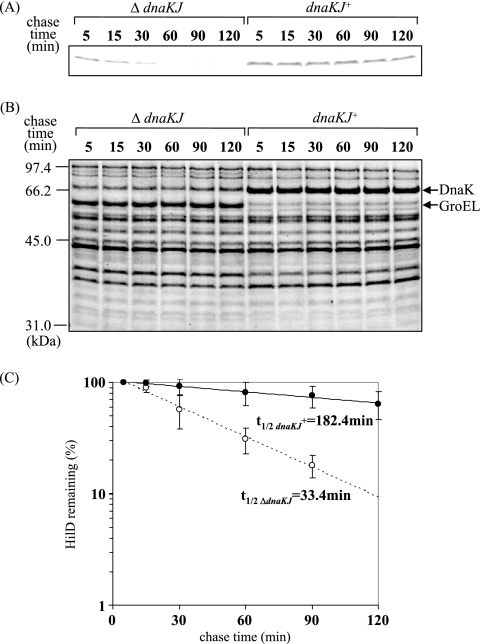 FIG. 5.