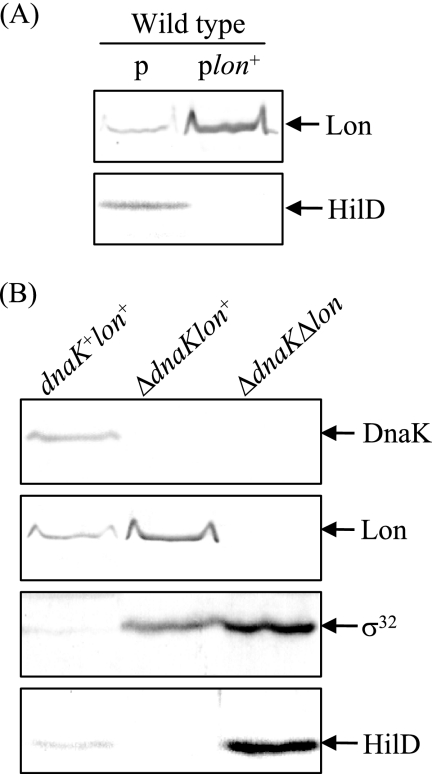 FIG. 9.