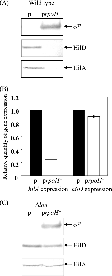 FIG. 7.