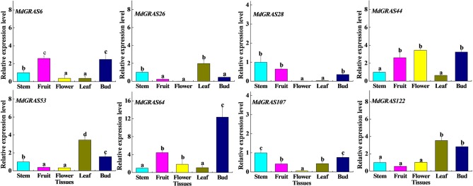 Figure 6