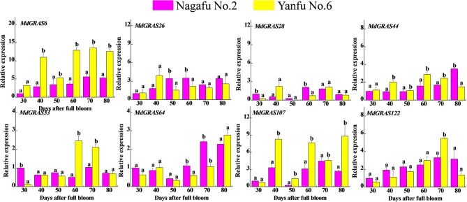 Figure 7