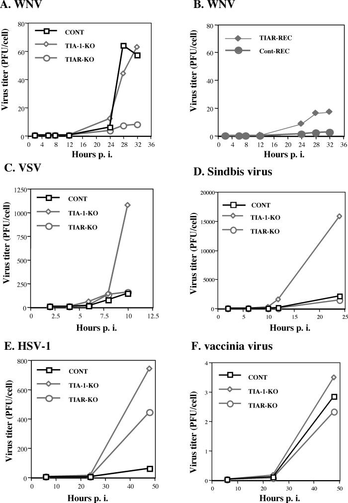 FIG. 6.