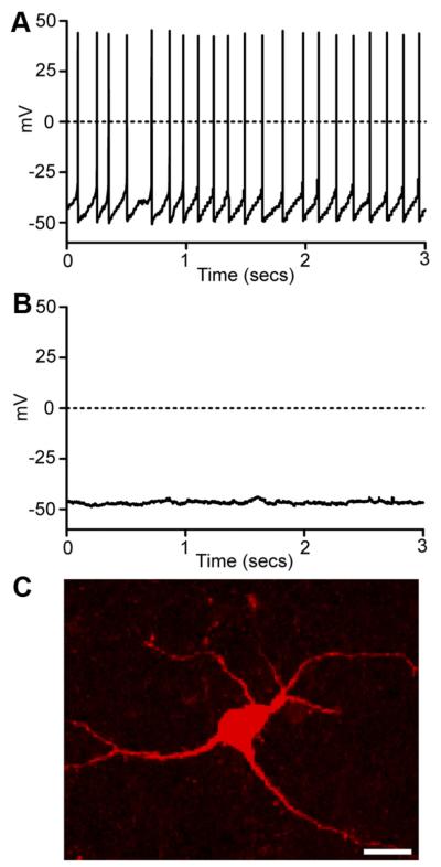 FIG. 4