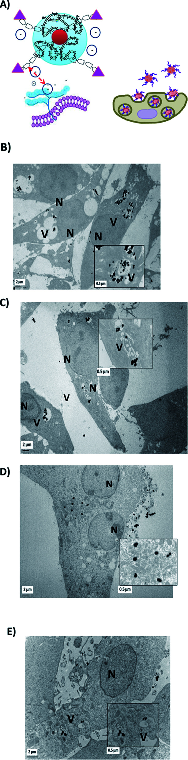 Fig. 5