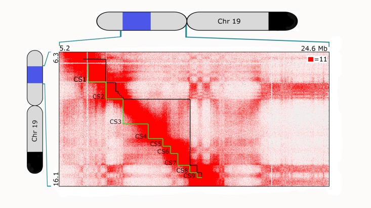 Fig 4