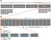Fig 2: