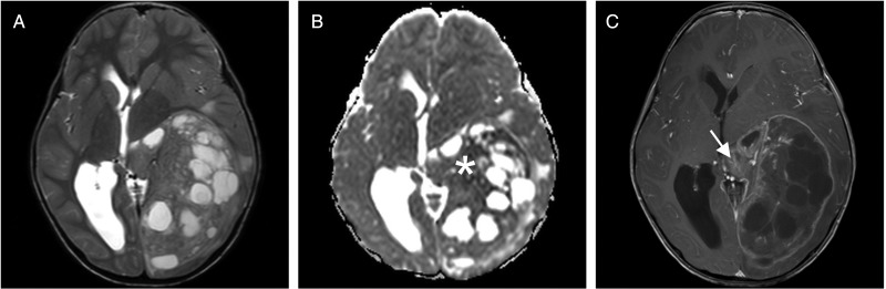 Fig. 2.