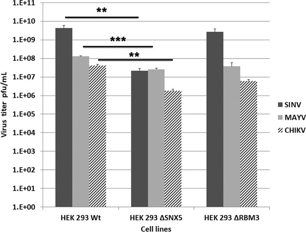 FIG 6