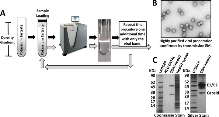 FIG 1