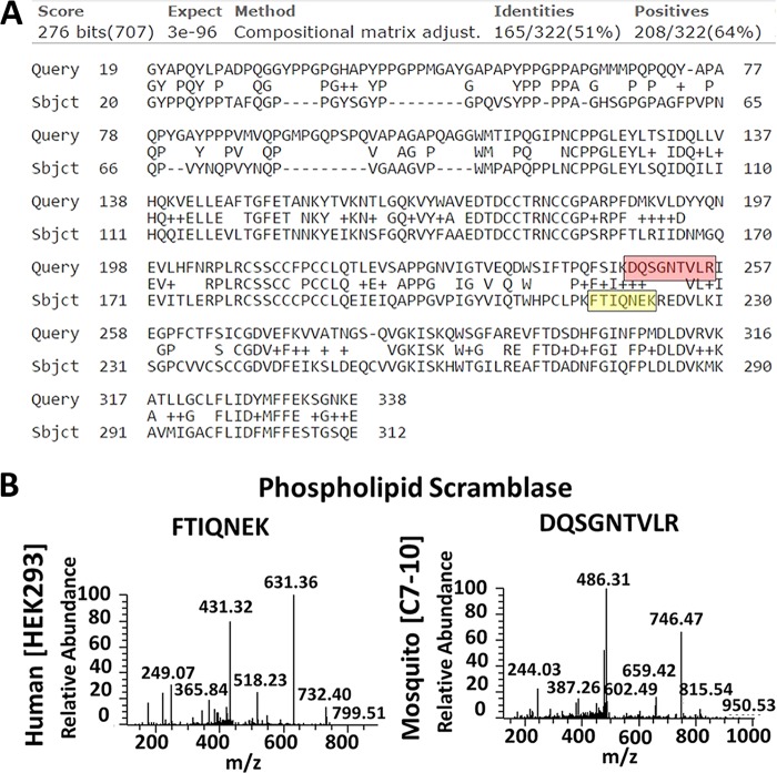 FIG 3