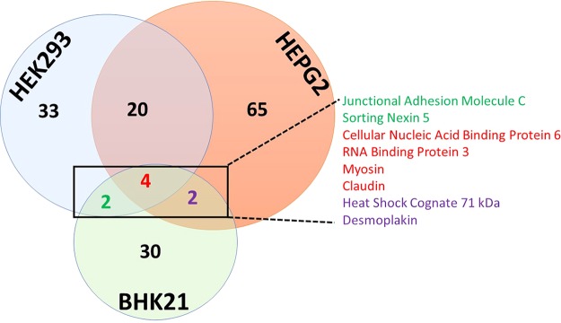 FIG 2