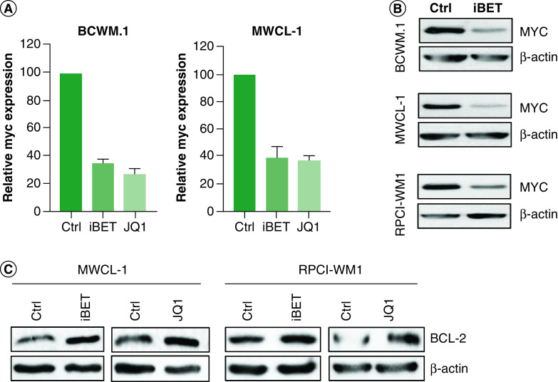 Figure 4. 